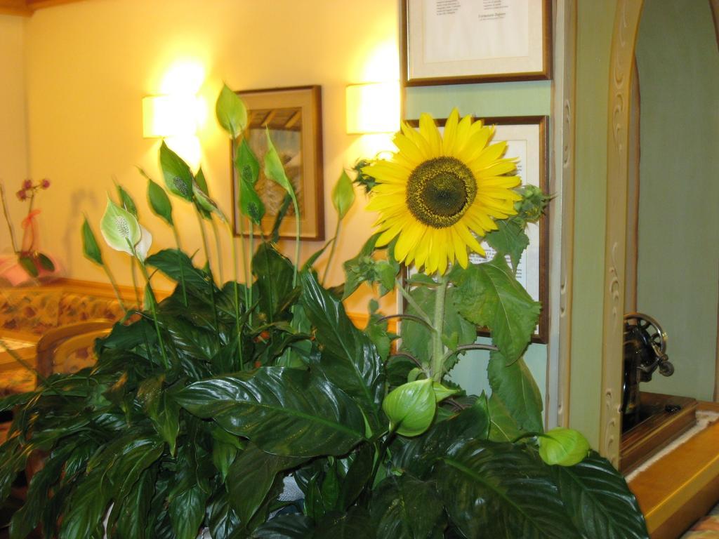 Albergo Villa Cristina Folgaria Exterior photo